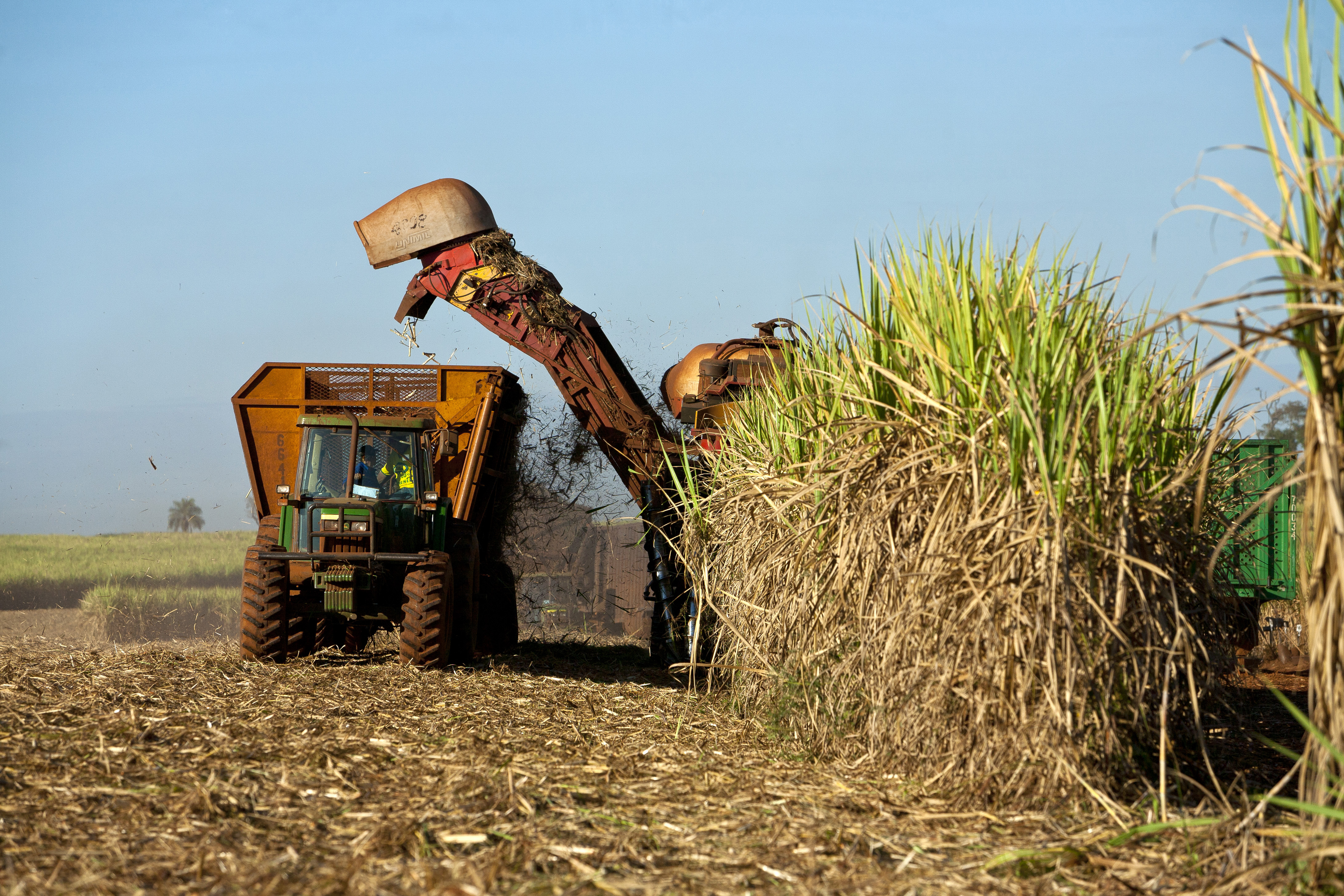 கரும்பு அறுவடை — கோப்புப் படம்